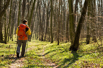 Image showing Male hiker looking to the side walking in forest