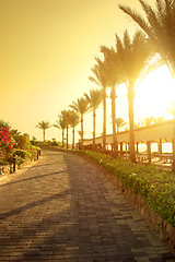 Image showing Seafront in Egypt