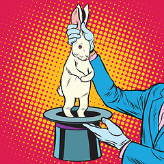 Image showing white rabbit in the magicians hands