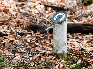 Image showing Horsetrack in a dutch forrest