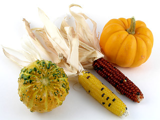 Image showing Harvest medley