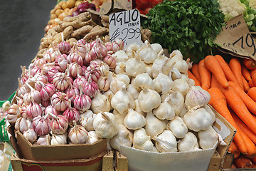 Image showing Garlic