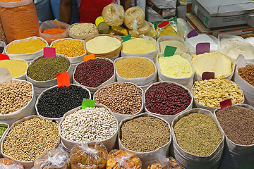 Image showing Legumes