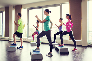 Image showing group of people working out with steppers in gym