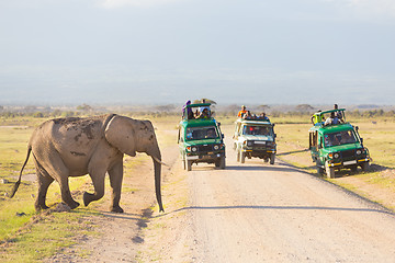 Image showing Elephantt crossing dirt roadi in Amboseli, Kenya.