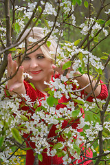 Image showing Blonde and blooming apple tree