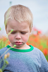 Image showing Unhappy boy in field with red poppies