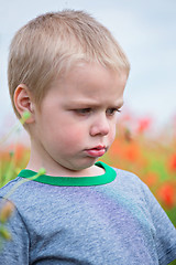 Image showing Upset boy in field with red poppies