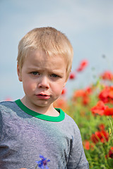 Image showing Serious boy in field with red poppies