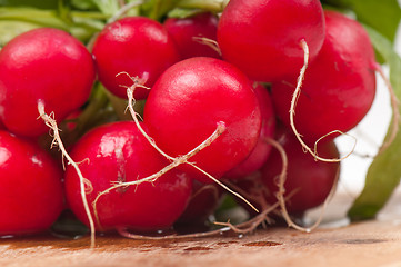 Image showing Radishes on wooden background