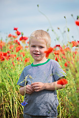 Image showing Positive boy in field with red poppies