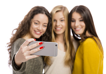 Image showing Girls taking selfie