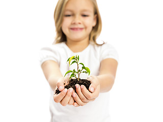 Image showing Cute girl showing a plant