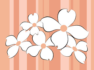 Image showing White flowers background