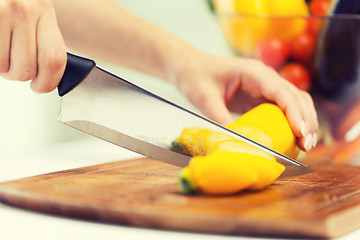 Image showing close up of hands chopping squash with knife