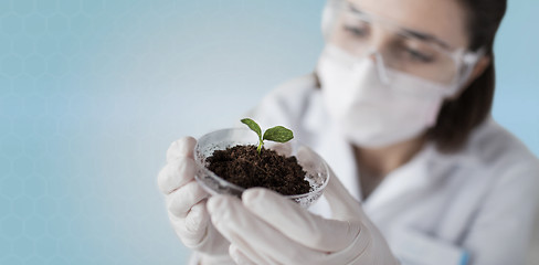 Image showing close up of scientist with plant and soil