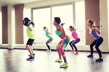 Image showing group of people exercising with barbell in gym