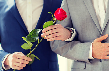 Image showing close up of happy male gay couple holding hands