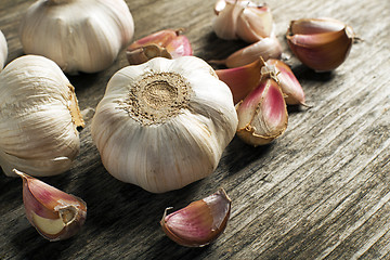 Image showing Garlic