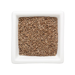 Image showing Cumin seeds