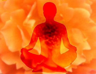 Image showing Blurry flower background with woman doing yoga