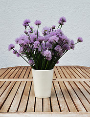 Image showing Flowering chives