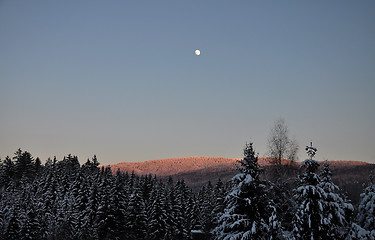 Image showing Moonrise in winter scenery