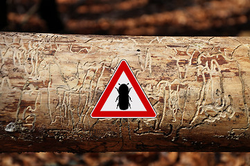 Image showing Bark-beetle attention sign