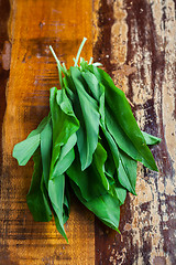 Image showing Fresh wild garlic leaves