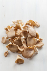 Image showing Fresh organic oyster mushrooms