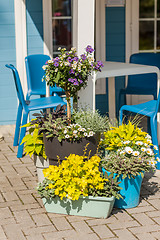 Image showing Flower pots