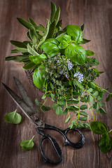 Image showing Herbs with vintage garden scissors 