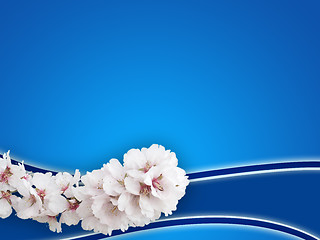 Image showing almond background
