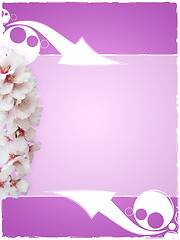 Image showing almond background