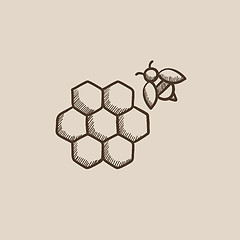 Image showing Honeycomb and bee sketch icon.