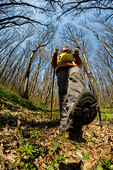 Image showing Male hiker looking to the side walking in forest