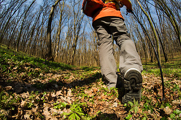 Image showing Male hiker looking to the side walking in forest