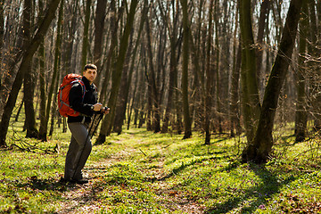 Image showing Male hiker looking to the side walking in forest