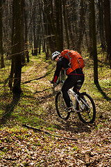 Image showing Rider in action at Freestyle Mountain Bike Session