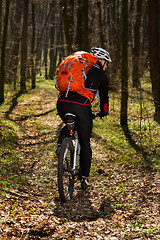 Image showing Rider in action at Freestyle Mountain Bike Session