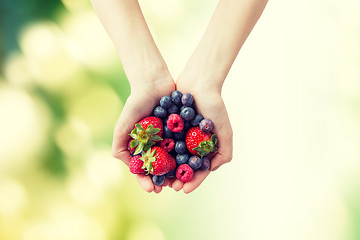 Image showing close up of woman hands holding berries