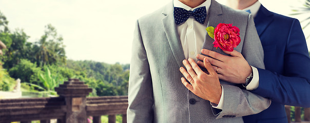 Image showing close up of happy male gay couple