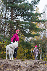 Image showing Granny with her granddaughter and a dog walk in autumn Park  