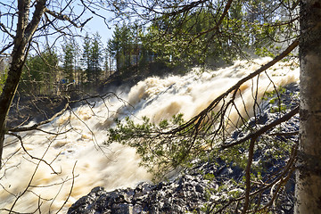 Image showing River waterfall in wild forest