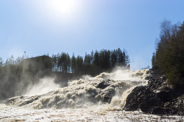 Image showing Sunny waterfall in pine forest