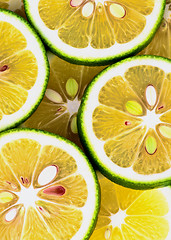 Image showing Green Lemons Background