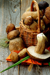 Image showing Raw Boletus Mushrooms