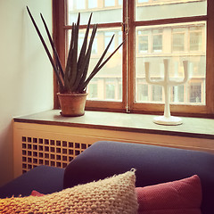 Image showing Window decorated with Sansevieria plant and candleholder