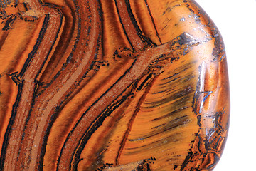 Image showing tiger eye isolated