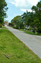 Image showing Residential side street in Florida